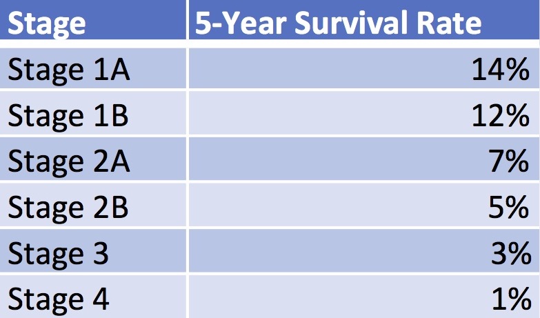 prognostic-factors-in-metastatic-pancreatic-cancer-older-patients-are